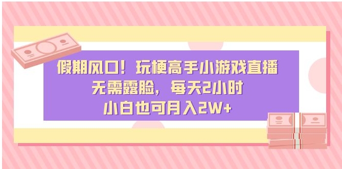 假期风口！玩梗高手小游戏直播，无需露脸，每天2小时，小白也可月入2W+-十一网创