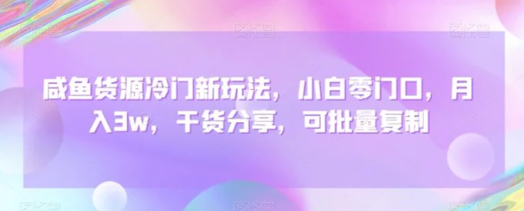 咸鱼货源冷门新玩法，小白零门口，月入3w，干货分享，可批量复制-十一网创