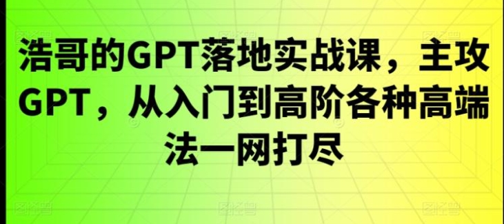 GPT落地实战课，主攻GPT，从入门到高阶各种高端法一网打尽-十一网创