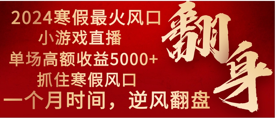 2024年最火寒假风口项目 小游戏直播 单场收益5000+抓住风口 一个月直接提车-十一网创