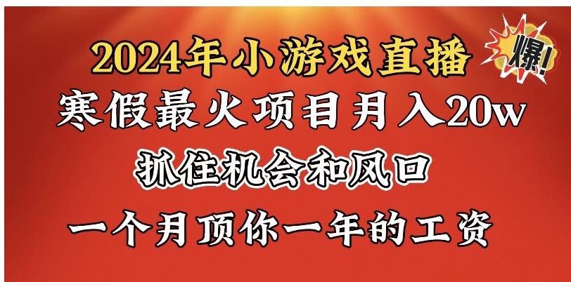 2024年寒假爆火项目，小游戏直播月入20w+，学会了之后你将翻身-十一网创