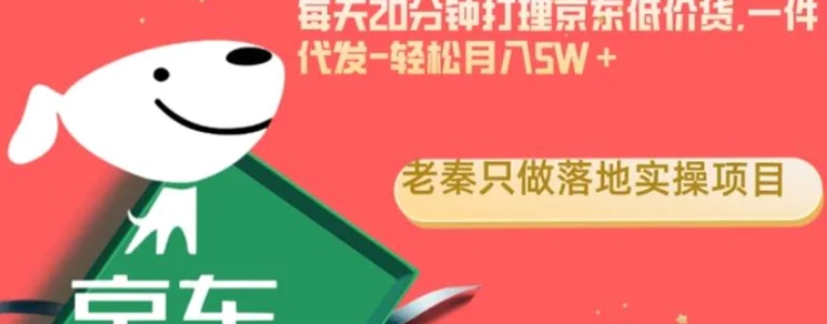 每天20分钟打理京东低价货，一件代发-轻松月入5W＋-十一网创