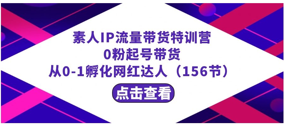 繁星·计划素人IP流量带货特训营：0粉起号带货 从0-1孵化网红达人-十一网创