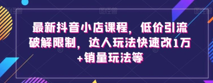 最新抖音小店课程，低价引流破解限制，达人玩法快速改1万+销量玩法等-十一网创