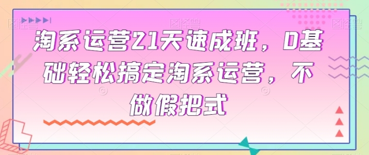 淘系运营21天速成班，0基础轻松搞定淘系运营，不做假把式-十一网创