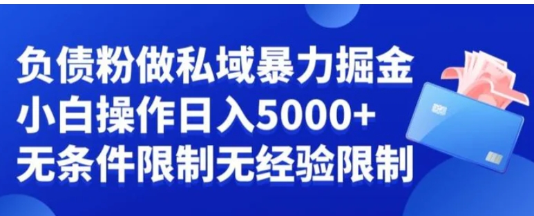 负债粉私域暴力掘金，小白操作入5000，无经验限制，无条件限制【揭秘】-十一网创