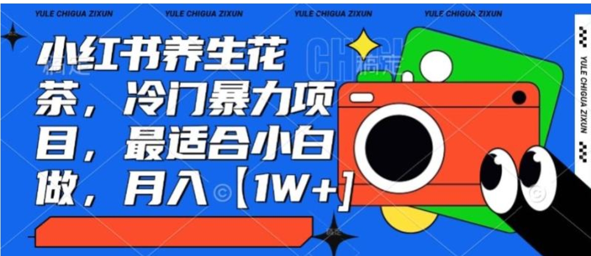 小红书养生花茶，冷门暴力项目，最适合小白做，月入【1W+】-十一网创