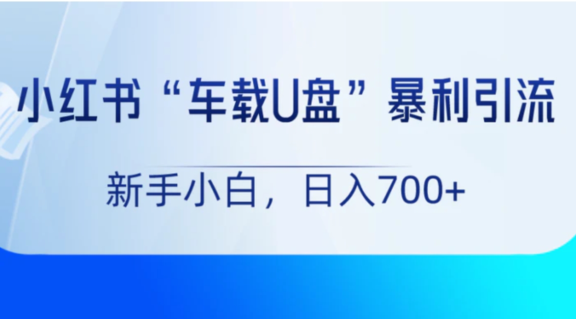 小红书“车载U盘”项目，暴利引流，新手小白轻松日入700+-十一网创