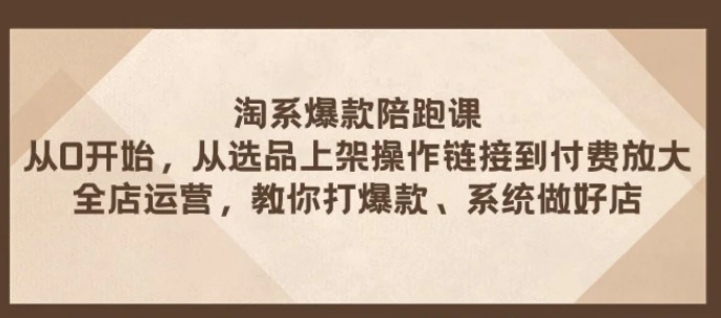 淘系爆款陪跑课 从选品上架操作链接到付费放大 全店运营 打爆款 系统做好店-十一网创