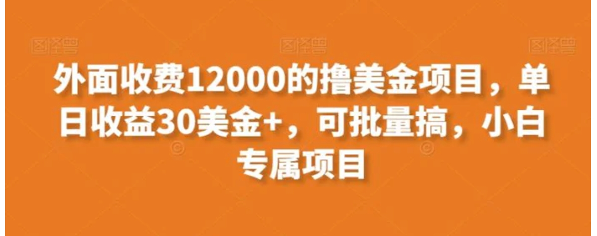 外面收费12000的撸美金项目，单日收益30美金+，可批量搞，小白专属项目-十一网创