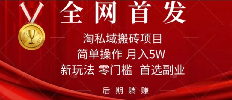 淘私域搬砖项目，利用信息差月入5W，每天无脑操作1小时，后期躺赚-十一网创