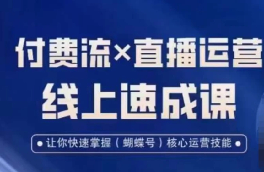 视频号付费流实操课程，付费流✖️直播运营速成课，让你快速掌握视频号核心运营技能-十一网创