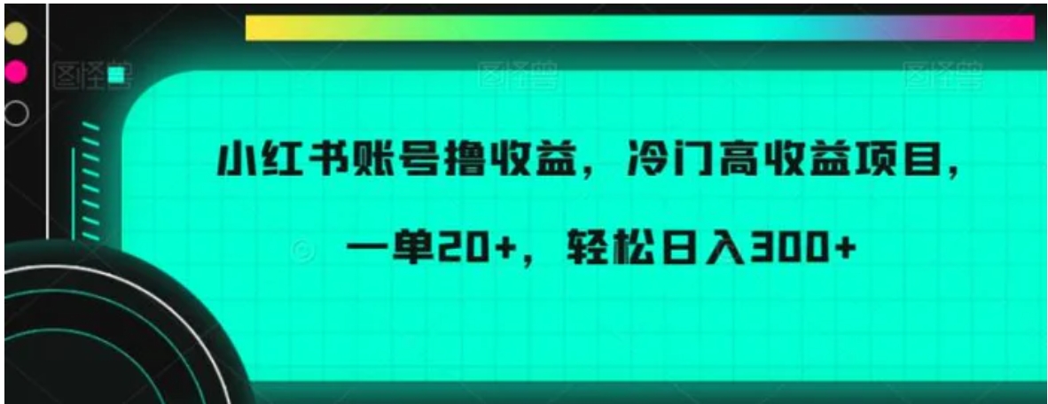 小红书账号撸收益，冷门高收益项目，一单20+，轻松日入300+-十一网创