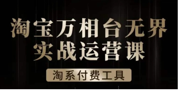 沧海·淘系万相台无界实战运营课，万相台无界实操全案例解析-十一网创