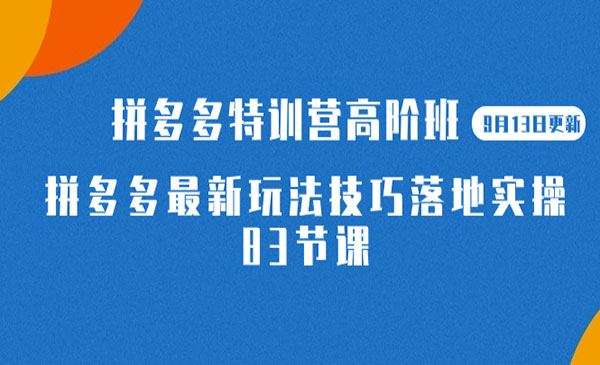 《拼多多最新玩法技巧落地实操》-十一网创