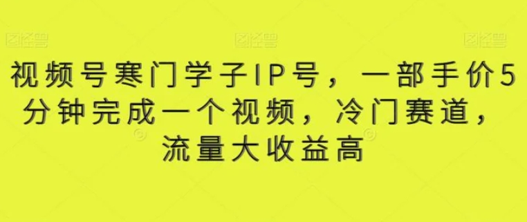 视频号寒门学子IP号，一部手价5分钟完成一个视频，冷门赛道，流量大收益高【揭秘】-十一网创