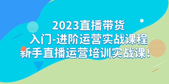 2023直播带货入门-进阶运营实战课程：新手直播运营培训实战课-十一网创