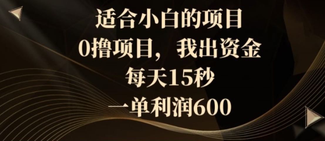 适合小白的项目，0撸项目，我出资金，每天15秒，一单利润600-十一网创