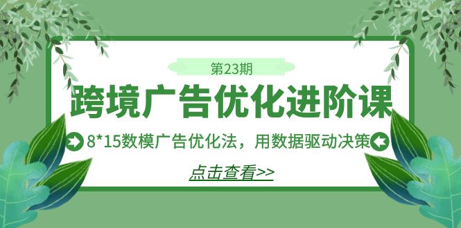 跨境广告·优化进阶课·第23期，8*15数模广告优化法，用数据驱动决策-十一网创