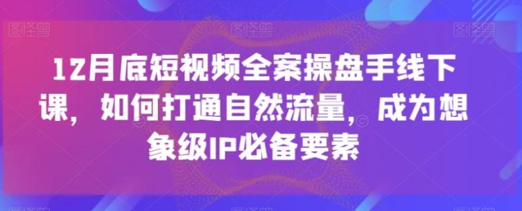 12月底短视频全案操盘手线下课，如何打通自然流量，成为想象级IP必备要素，全是干货，不讲废话超深度培训实操-十一网创