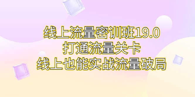 线上流量密训班19.0，打通流量关卡，线上也能实战流量破局-十一网创