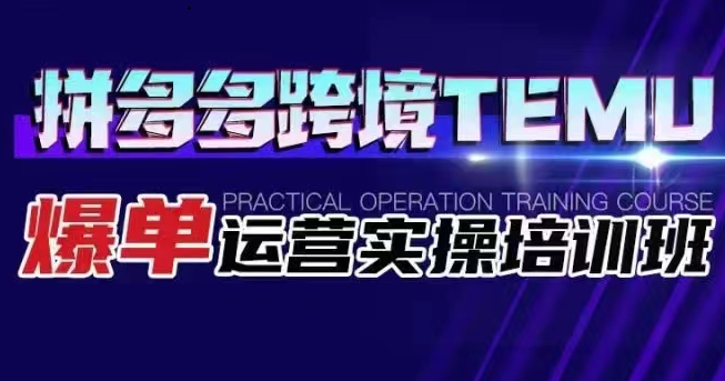 拼多多跨境TEMU爆单运营实操培训班 海外拼多多的选品、运营、爆单-十一网创