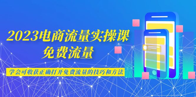 2023电商流量实操课-免费流量，学会可收获正确打开免费流量的技巧和方法-十一网创