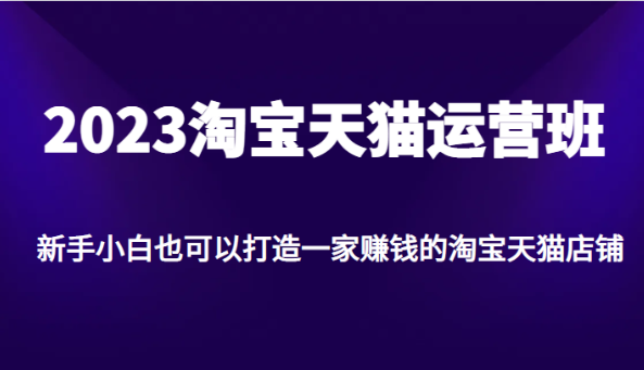 2023淘宝天猫运营班，新手小白也可以打造一家赚钱的淘宝天猫店铺-十一网创