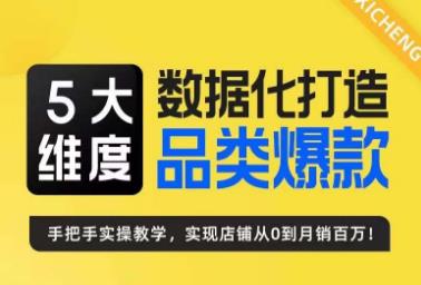 5大维度，数据化打造电商品类爆款特训营，一套高效运营爆款方法论-十一网创