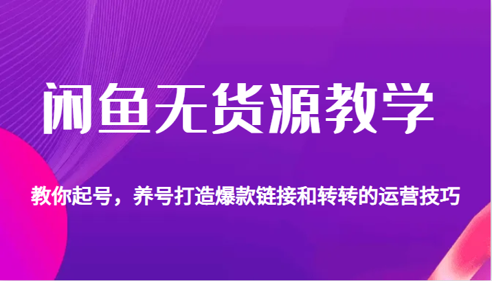 闲鱼无货源教学，教你起号，养号打造爆款链接以及转转的运营技巧-十一网创