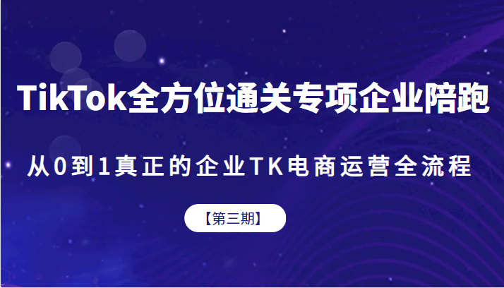 TikTok全方位通关专项企业陪跑【第三期】，从0到1真正的企业TK电商运营全流-十一网创