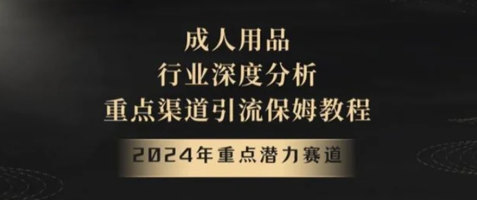 2024年重点潜力赛道，成人用品行业深度分析，重点渠道引流保姆教程【揭秘】-十一网创