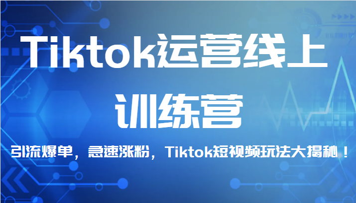 Tiktok运营线上训练营，引流爆单，急速涨粉，Tiktok短视频玩法大揭秘！-十一网创