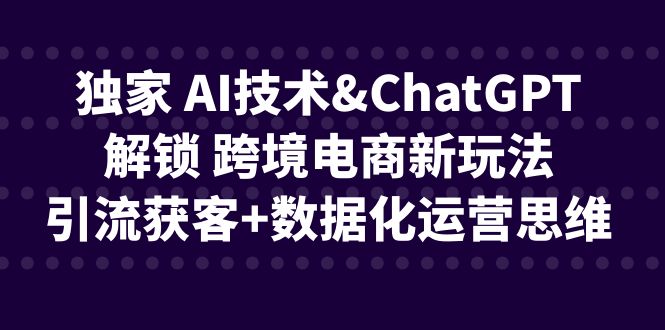 独家 AI技术&ChatGPT解锁 跨境电商新玩法，引流获客+数据化运营思维-十一网创