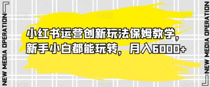 小红书运营创新玩法保姆教学，新手小白都能玩转，月入6000+【揭秘】-十一网创