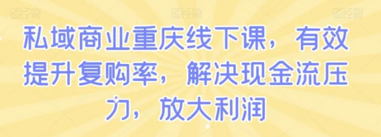 私域商业重庆线下课，有效提升复购率，解决现金流压力，放大利润-十一网创