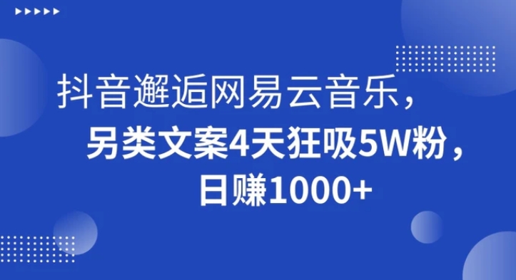 抖音邂逅网易云音乐，另类文案4天狂吸5W粉，日赚1000+【揭秘】-十一网创