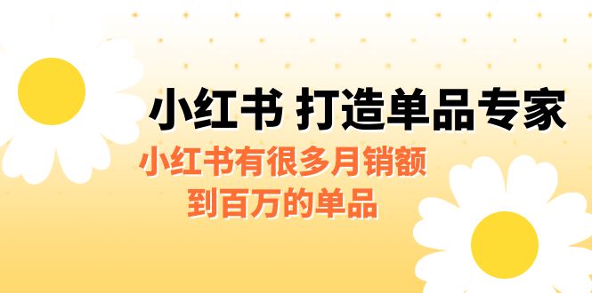 某公众号付费文章《小红书 打造单品专家》小红书有很多月销额到百万的单品-十一网创