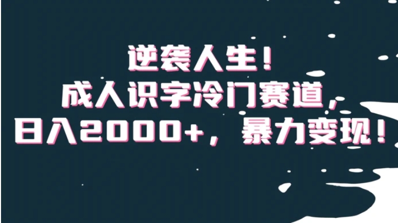 逆袭人生！成人识字冷门赛道，日入2000+，暴力变现！【揭秘】-十一网创