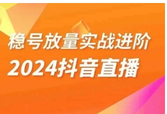 稳号放量实战进阶—2024抖音直播，直播间精细化运营的几大步骤-十一网创