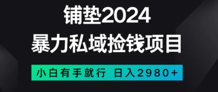 暴力私域捡钱项目，小白无脑操作，日入2980【揭秘】-十一网创