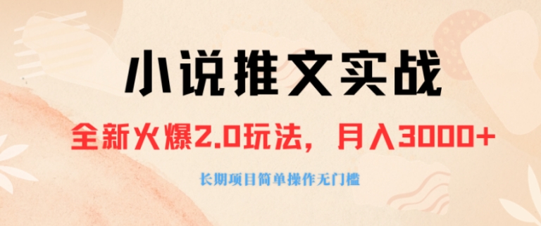 外面收费990的小说推广软件，零粉丝可变现，月入3000+，小白当天即上手-十一网创