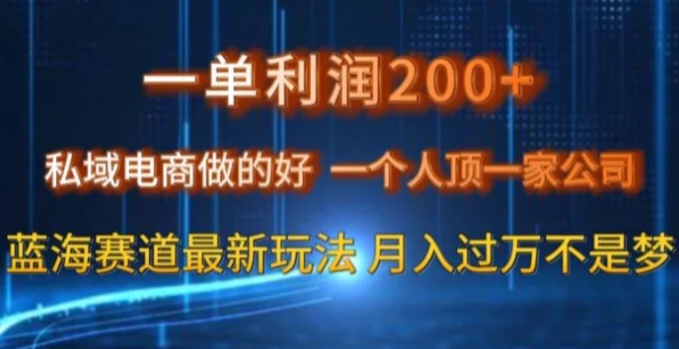 一单利润200私域电商做的好，一个人顶一家公司蓝海赛道最新玩法【揭秘】-十一网创