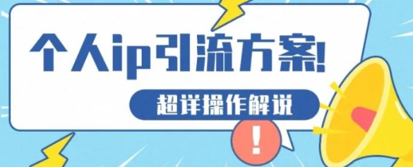 快速收藏，个人IP引流方案教程！让你轻松打造人设IP-十一网创