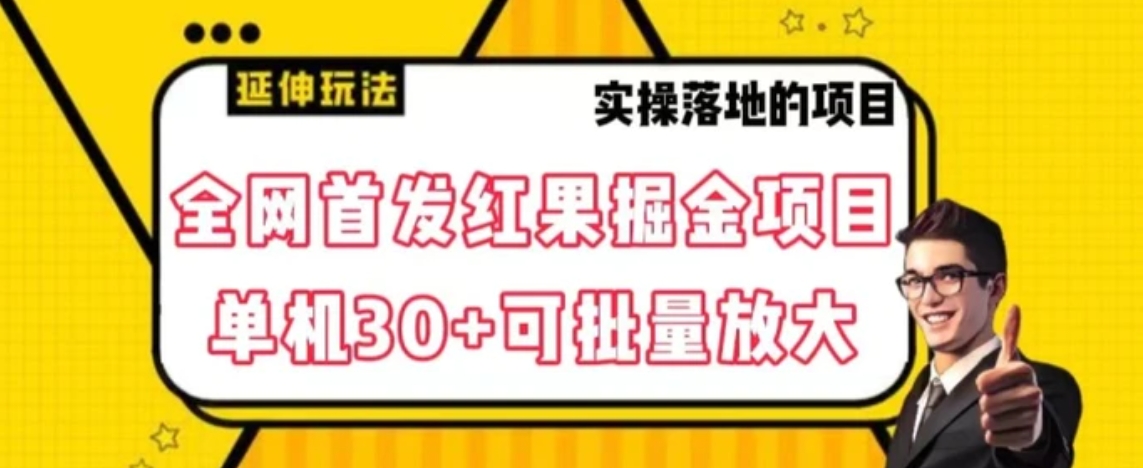 全网首发红果免费短剧掘金项目，单机30+可批量放大【揭秘】-十一网创