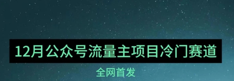 12月份最新公众号流量主小众赛道推荐，30篇以内就能入池！-十一网创