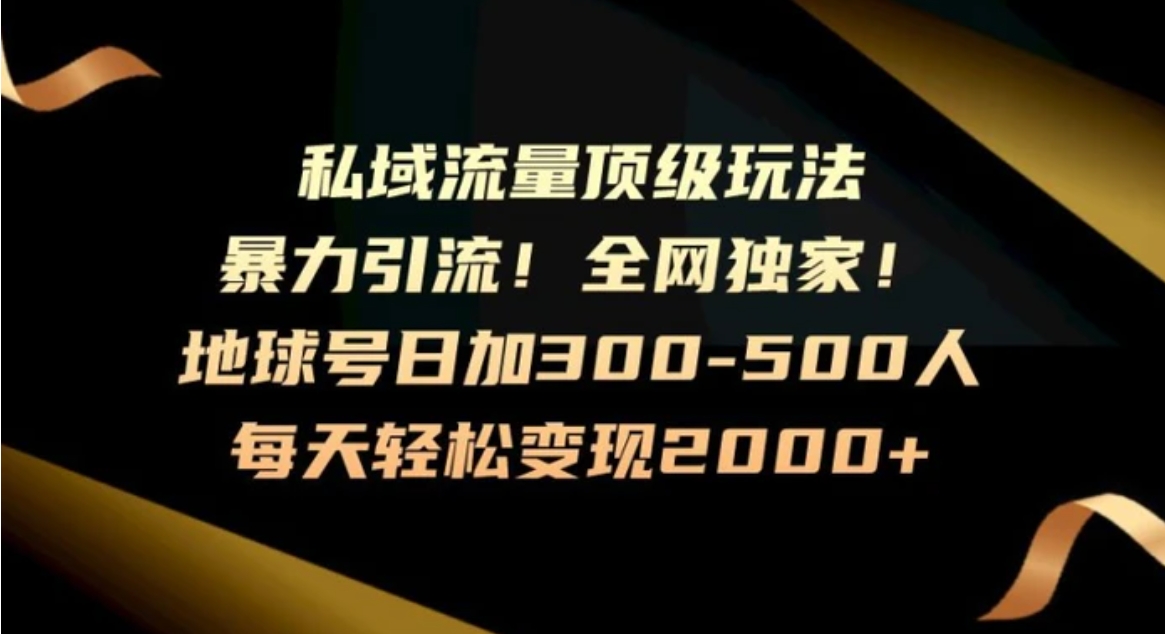 暴力引流，全网独家，地球号日加300-500人，私域流量顶级玩法，每天轻松变现2000+-十一网创