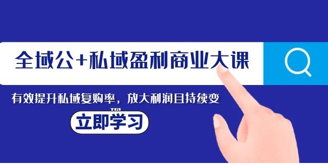 全域公+私域盈利商业大课，有效提升私域复购率，放大利润且持续变现-十一网创