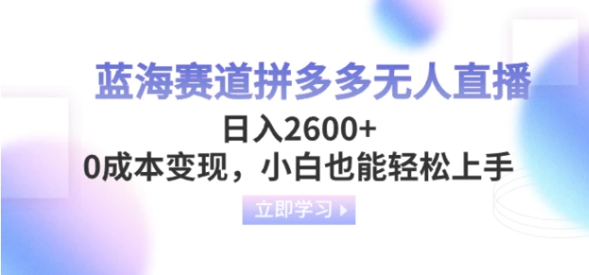 蓝海赛道拼多多无人直播，日入2600+，0成本变现，小白也能轻松上手-十一网创