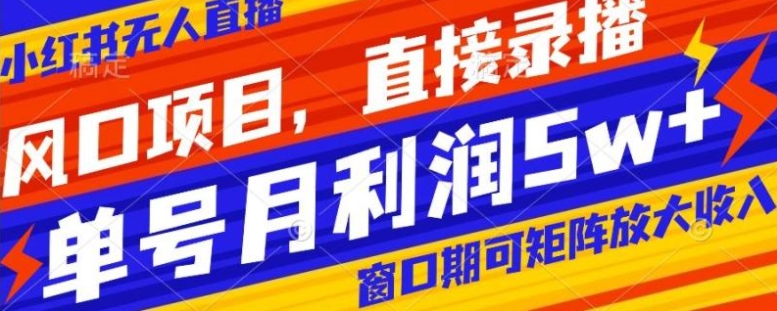 风口项目，小红书无人直播带货，直接录播，可矩阵，月入5w+【揭秘】-十一网创